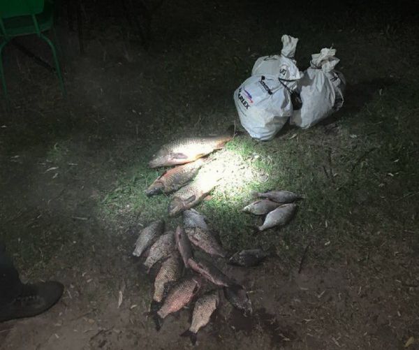 У Вінниці на Сабарівському водосховищі розставили сітки. Виловили карасів, лящів, сазанів                      
