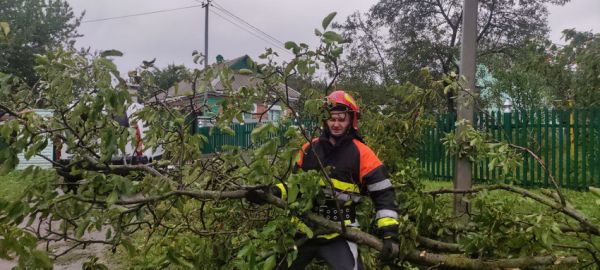 На Вінниччині сильний вітер «наламав дров». Знеструмлено 52 населених пункти                      
