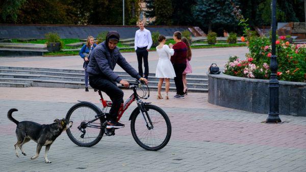День міста онлайн. Фоторепортаж з центру Вінниці                     
