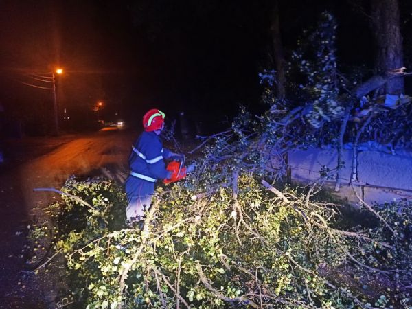 На Вінниччині сильний вітер повалив дерева на дороги. Рятувальники ліквідували наслідки негоди                    
