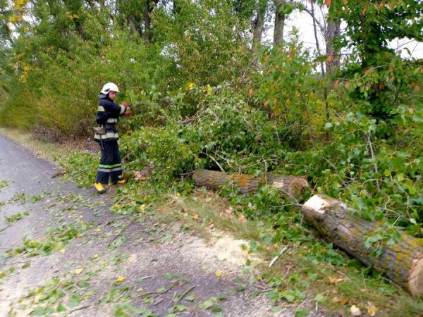 На Вінниччині сильний вітер повалив дерева на дороги. Рятувальники ліквідували наслідки негоди                    
