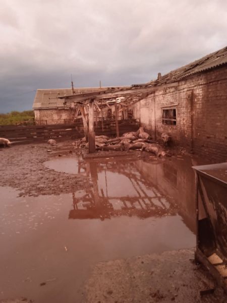 
Росіяни двічі за день обстріляли Сумську область: загинув мирний житель, зруйновано ферму 