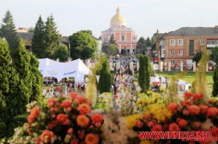  В Тульчині на невизначений термін зупинили міські пасажирські перевезення. Що стало причиною                     
