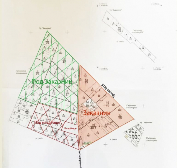 Заказник и кладбище: как изменятся границы «Барановского леса» в Измаиле