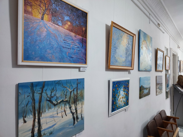 В музее Придунавья открылась зимняя выставка «Белая сказка» (видео)