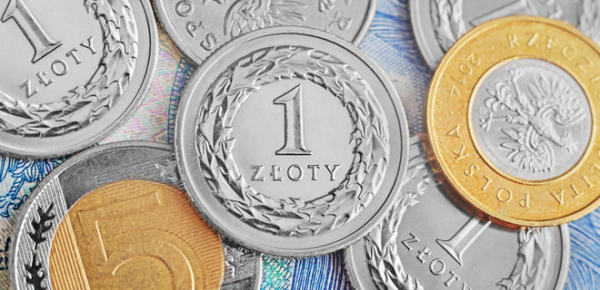 Поляків спитали, чи хочуть вони міняти злотий на євро: 64% відповіли "ні"
Поляків спитали, чи хочуть вони міняти злотий на євро: 64% відповіли "ні"