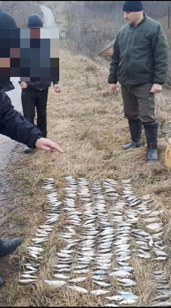 В селі на Вінниччині чоловік «хваткою» наловив риби на пів мільйона гривень                    
