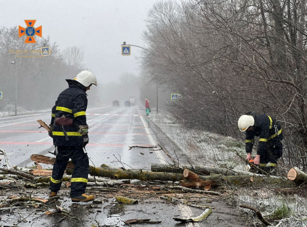 На Вінниччині повалене через сильний вітер дерево перекрило автотрасу                     
