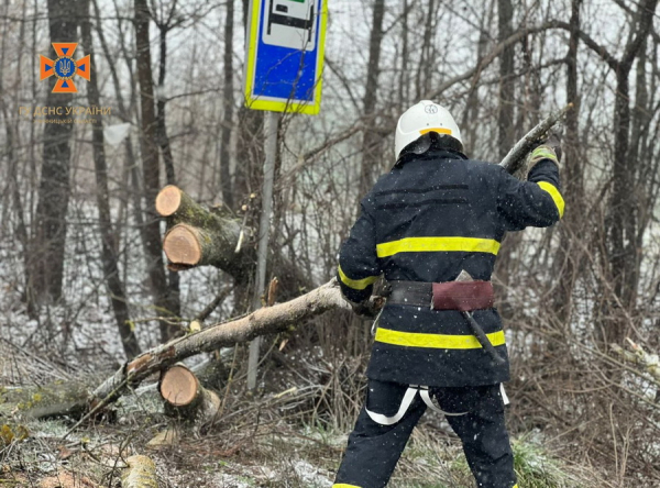 На Вінниччині повалене через сильний вітер дерево перекрило автотрасу                     
