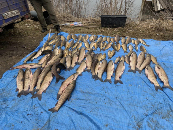 На Вінниччині двоє рибалок «наловили» риби на майже 1,5 мільйона гривень                    
