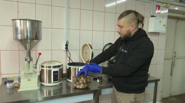 На Вінниччині планують відкрити часниковий хаб                    
