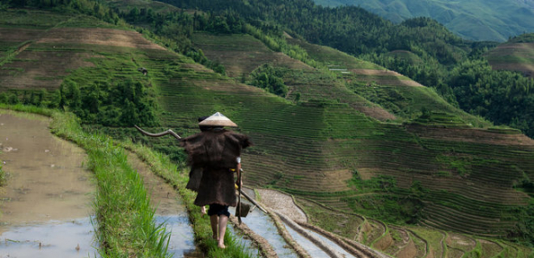 
Економіка Китаю повернулася до зростання після скасування ковідних обмежень 