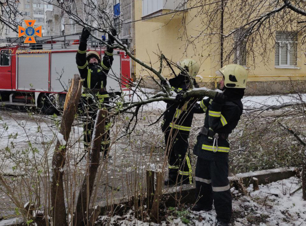 На Вінниччині снігопад повалив дерева, які перекрили рух, пошкодили авто і лінії електропередач                    
