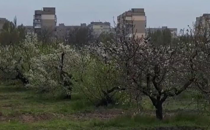 Покажите мой дом - житель Мелитополя на заказ снимает душевные видео о родном городе