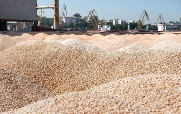 Зерновий експорт України перевищив 45 млн тонн
