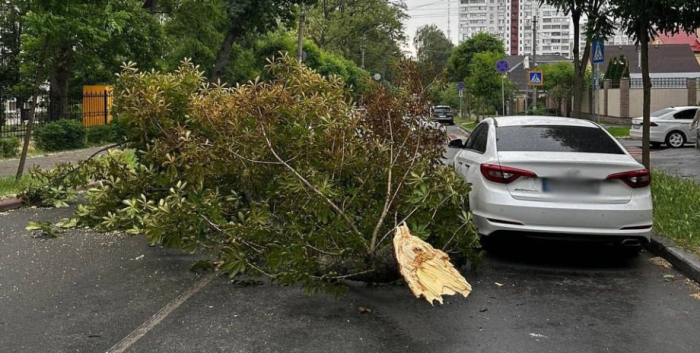 машина, дерево, ураган у Києві, погода у Києві