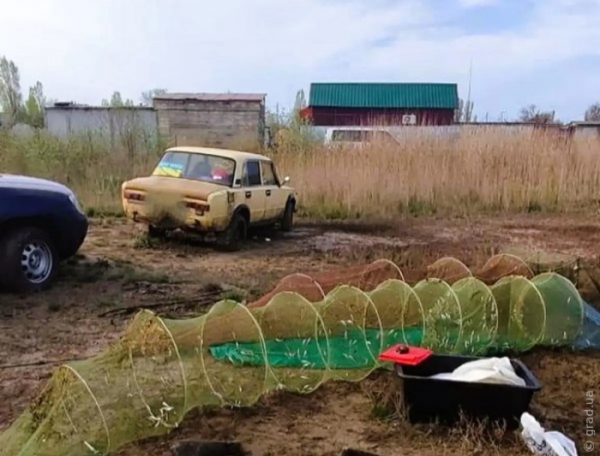 На Одещині браконьєр наловив піщанки на 200 тисяч гривень