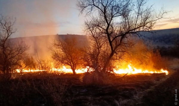 137 пожеж на відкритій місцевості за тиждень сталося на Одещині