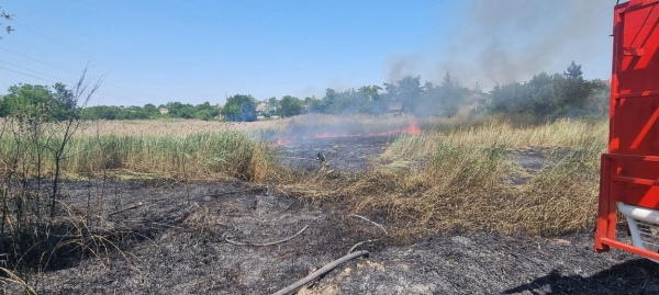 Містяни думали, що горить порт: в Ізмаїлі спалахнуло 1,5 га сухої трави та очерету