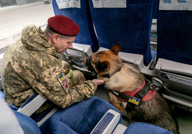 Укрзалізниця оновила правила перевезення домашніх тварин 