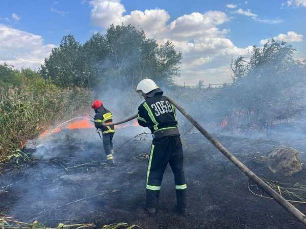 В Ізмаїлі знову масштабно горіло Леб’яже озеро