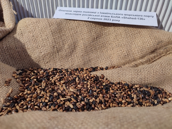 В Ізмаїлі відкрили виставку під назвою «Війна за Незалежність України»