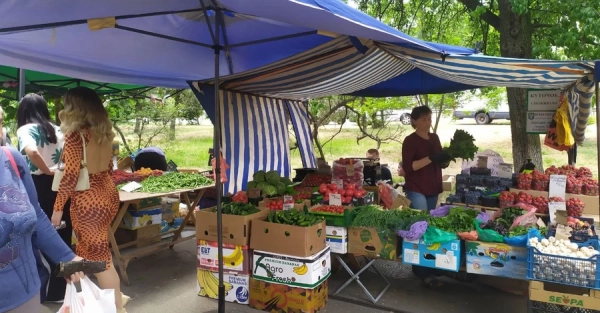 Овочі подешевшають, фрукти не особливо: що буде з цінами на продукти в середині літа