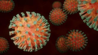     Коронавирус может исчезнуть - академик НАН Комисаренко назвал условие - коронавирус новости    